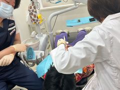 -美华丁香门诊部·全科·妇儿·口眼