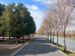 -广富林郊野公园