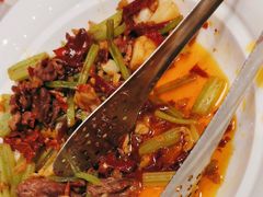 -西贝(华发商都店)