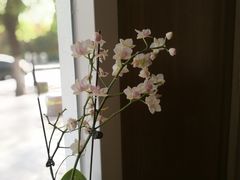-琥珀咖啡 Ambercoffee