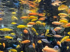 -太平洋海底世界