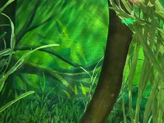 -上海海洋水族馆