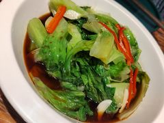 蚝油有机生菜-老广酒楼(樱花店)