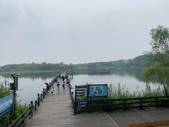 -溱湖国家湿地公园