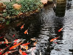 -龙源九号花园酒店(叶埠桥店)