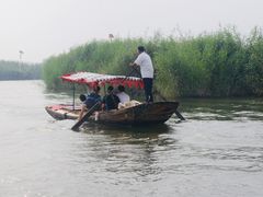 -白洋淀景区