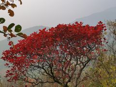 -北京十三陵国家森林公园蟒山景区