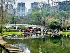 -重庆彩云湖湿地公园