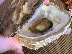 -昆山招商花园城