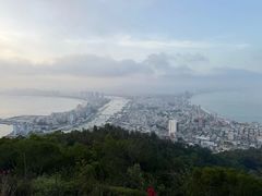-广东惠东海龟国家级自然保护区