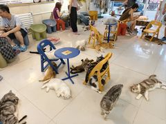 -平行世界·猫咖(首经贸店)