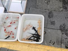 -青石桥花鸟鱼虫市场(叠翠城店)