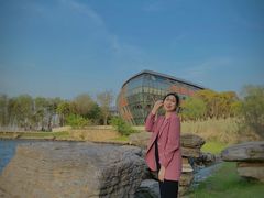 -南汇嘴观海公园