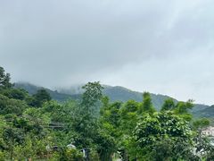 -广州市帽峰山景区