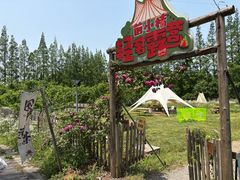 -前小桔亲子创意农场·草莓采摘·露营烧烤