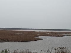 -盐城丹顶鹤湿地生态旅游区