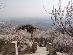 -北京凤凰岭