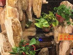 -老诚一锅羊蝎子(天通苑东三区直营店)
