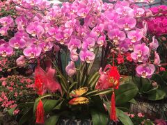 -双季花艺园艺市场(浦东店)