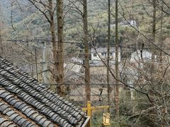 -WILDS 野有食(碧坞店)
