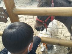 -茅山东方盐湖城景区