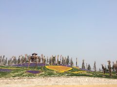 -南通洲际绿博园