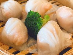 -澳门西南饭店·粤菜·茶市·手工点心(华海路店)