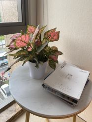 -杭州海亮医院 · 禾芸嘉医美中心