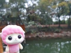 -南京市无想山景区
