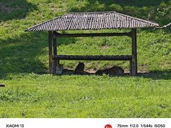 -沈阳森林动物园