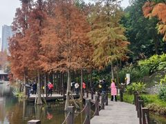 -重庆彩云湖湿地公园
