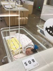 -海豚湾高端月子会所(黄浦店)