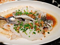 -新白鹿餐厅(松江开元地中海店)