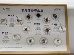-中国农业大学动物医院