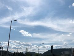 -潇湘阁(望京SOHO店)