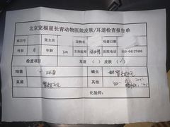 -宠福鑫动物医院(立水桥分院)