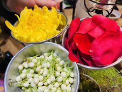 -一朵菌·野生菌探索家火锅(南亚店)