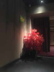 -鑫淼餐饮娱乐中心(江东街店)