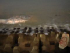 -白沙门生态公园