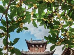 -巍山古城