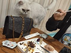 -猫小院猫主题咖啡厅(北锣店)