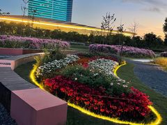 -春花秋色城市公园