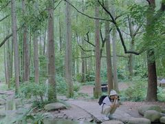 -上海共青森林公园