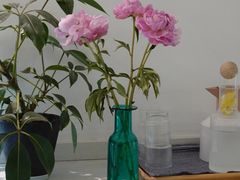 -COTTON CAFE(德信·中外公寓店)