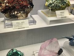 -湖南省地质博物馆