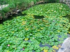 -无锡蠡湖国家湿地公园-蠡园