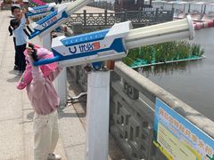 -杭州湾海上花田景区
