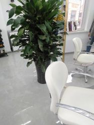 -IN HAIR艺术+造型