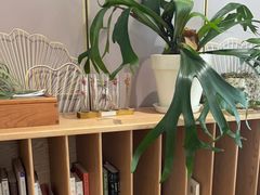 -一尺花园(安和花园店)