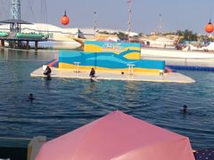 -秦皇岛乐岛海洋王国